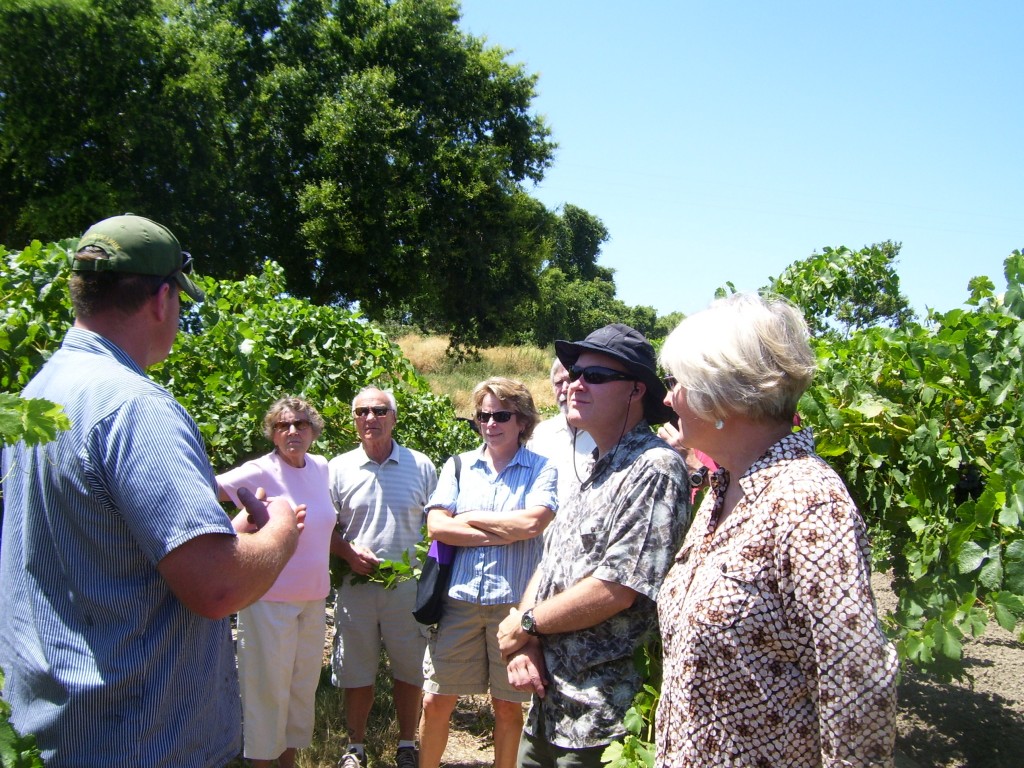 Varital Focus Group Petite Sirah - Bogle Vineyards